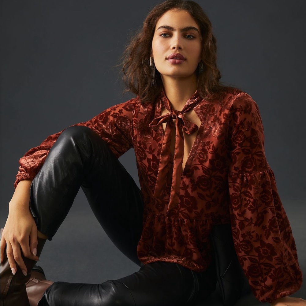 Anthropologie Velvet Tie Neck Blouse